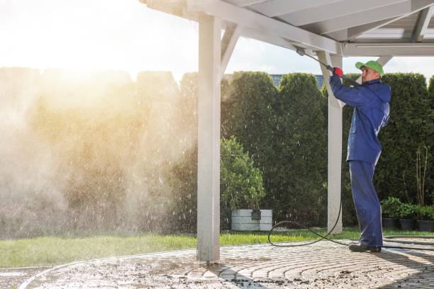 Best Building Exterior Washing  in Silver Springs Shores, FL